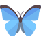 Item logo image for Daily Butterflies New Tab