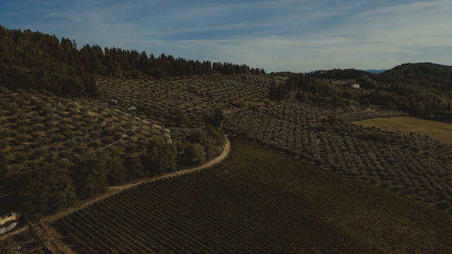 Bryllupsfotograf Federico A Cutuli (cutuli). Foto fra november 15 2019