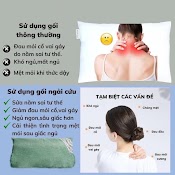 Gối Ngải Cứu Trị Đau Mỏi