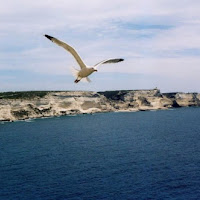 Nel Blu Dipinto Di Blu Volare di 