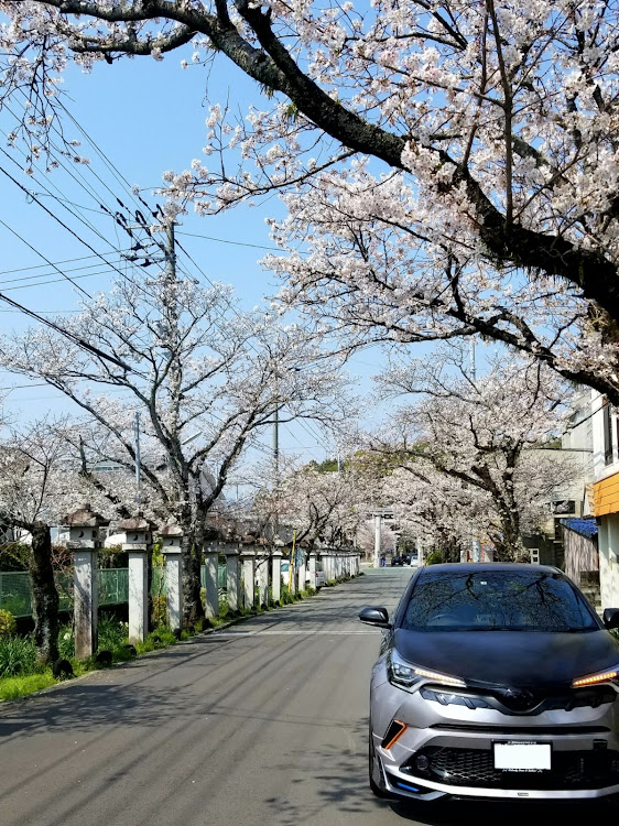 の投稿画像1枚目