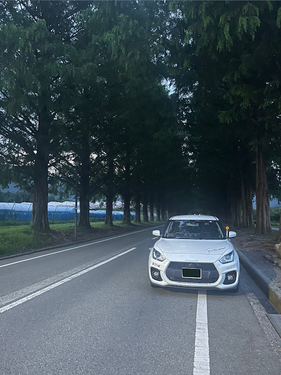 スイフトスポーツの高雄パークウェイMT・伊吹山ドライブウェイ・メタセコイア並木・トルネードに関するカスタム事例の投稿画像14枚目