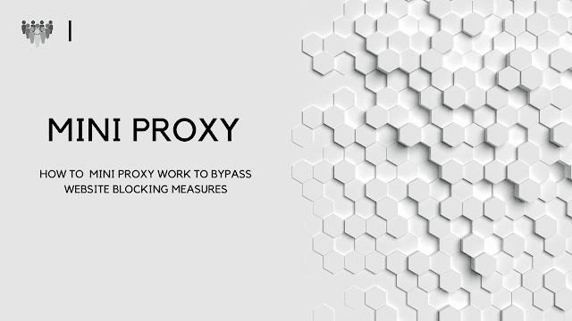 How to mini proxy work