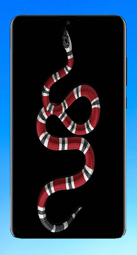 Download Snake Wallpaper 4k Free For Android Snake Wallpaper 4k Apk Download Steprimo Com