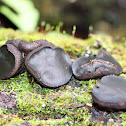 Black Jelly Drops