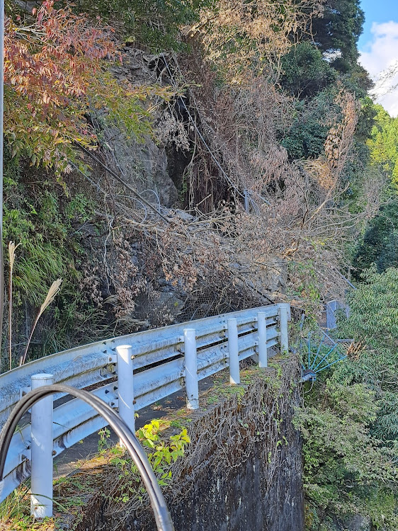 の投稿画像17枚目