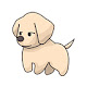 Golden Retriever Dogs & Puppies New Tab Theme