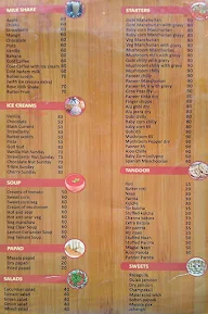 The Rasaganga Veg menu 8
