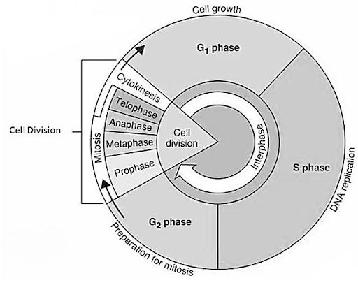 Solution Image