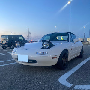 ロードスター NA8C