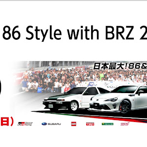 86 ZN6