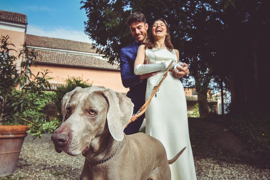 Fotógrafo de casamento Jan Verheyden (janverheyden). Foto de 9 de julho 2018