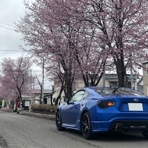 BRZ ZC6