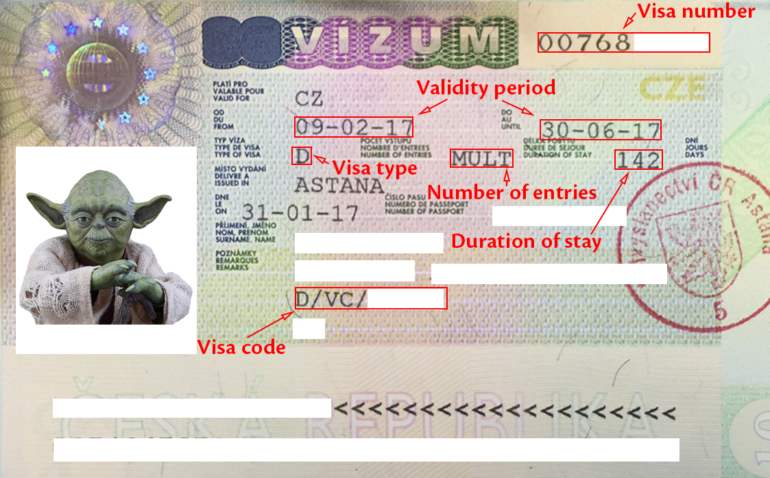 Www visas ru. Виза. Номер визы. Код визы. Visa example.