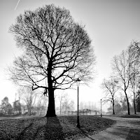 Parco del Valentino, Torino di 