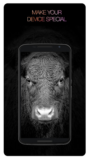 AMOLED 4K Wallpapers and Backgrounds