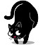 Funny Cat Wallpaper Custom Cats NewTab