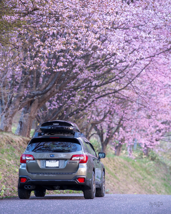 レガシィ アウトバックの北海道 十勝・サクラと愛車・GW・5月もよろしくお願いします・discover＿ctに関するカスタム事例の投稿画像1枚目