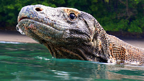 Socorro Islands thumbnail