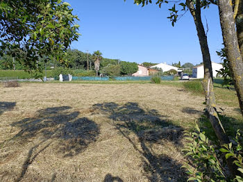 terrain à Puget-sur-Argens (83)