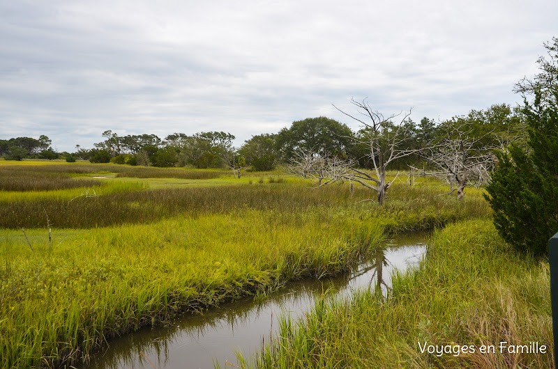 Jekyll island