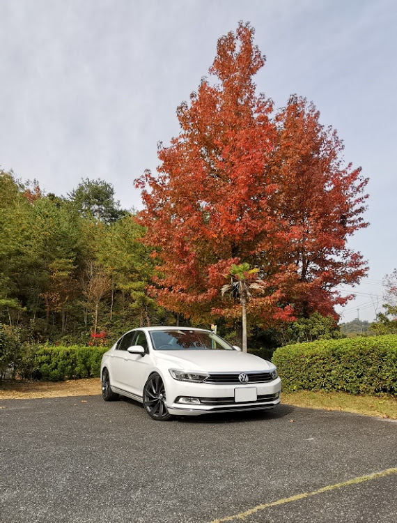 パサートの紅葉と愛車に関するカスタム事例の投稿画像1枚目