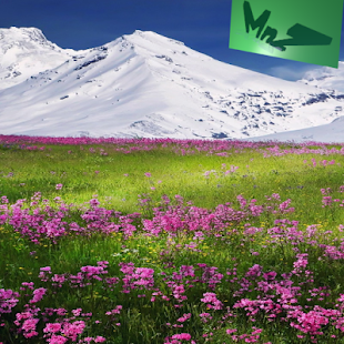 Mountain Meadow Live(圖1)-速報App
