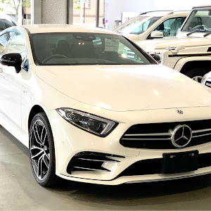 CLS CLS55