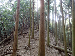 予定の尾根に復帰