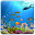 Ocean Fish Live Wallpaper HD Download on Windows