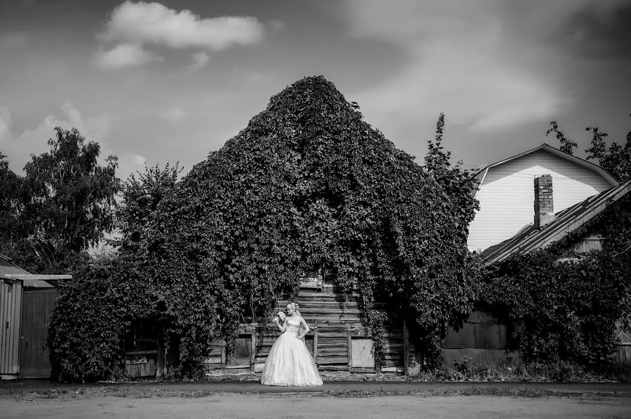 Wedding photographer Amina Shabanova (aminat). Photo of 24 January 2014