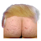 Item logo image for President Rump