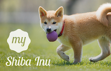 My Shiba Inu - Cute Dog & Puppy Wallpapers small promo image