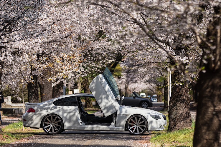 6シリーズの撮るのが好き💕・サクラと愛車・目指せPickUpCars・桜とコラボ・東京ららばいに関するカスタム事例の投稿画像9枚目