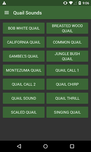 Quail Sounds