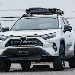 RAV4 MXAA52