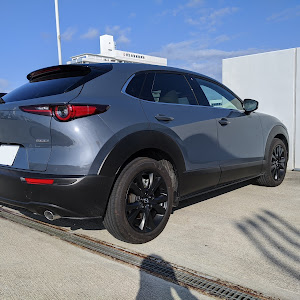 CX-30 DM8P