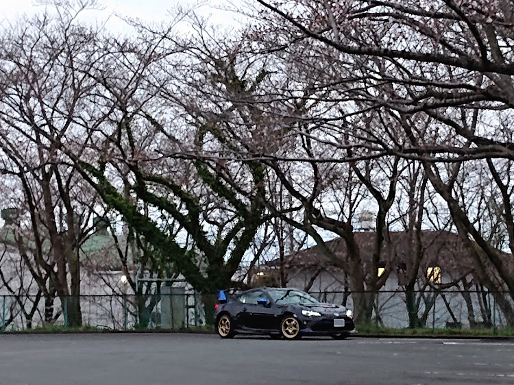 86の桜に関するカスタム事例の投稿画像2枚目