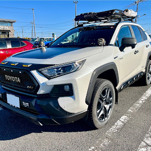 RAV4 AXAH54