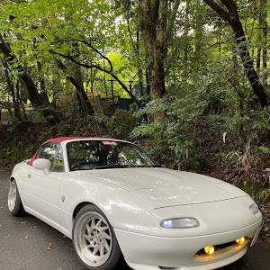 ロードスター NA8C