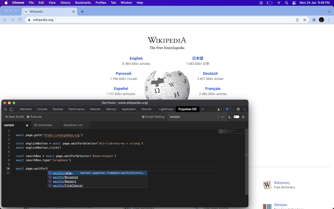 Puppeteer IDE Preview image 0