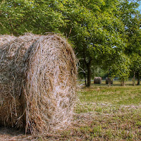 Giugno. Siamo solo all'inizio di 