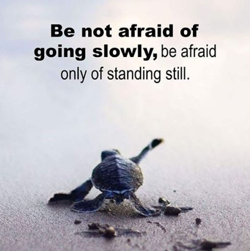 Life Motivation Quotes