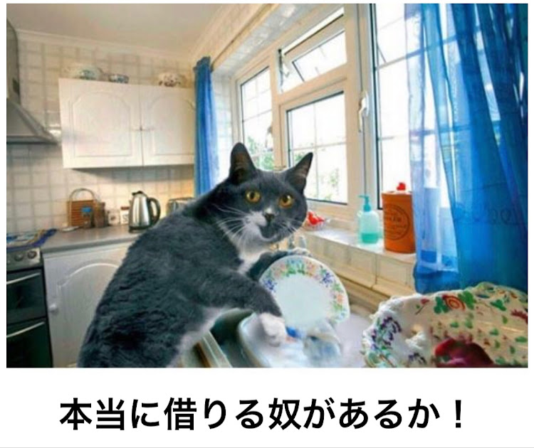ロードスターの新年のご挨拶・あけましておめでとうございます・フォロワーさんに感謝・CARTUNEに感謝に関するカスタム事例の投稿画像3枚目
