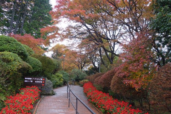 平凡人遊記 箱根紅葉 強羅公園 大涌谷 御殿場outlets