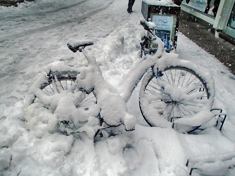 Gomme invernali ? di Andri55