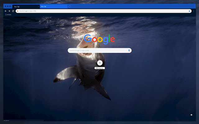 Sea shark chrome extension