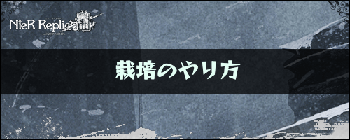 ニーアレプリカント_栽培のやり方