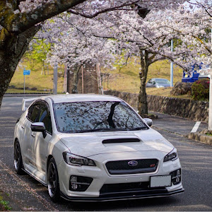 WRX STI VAB