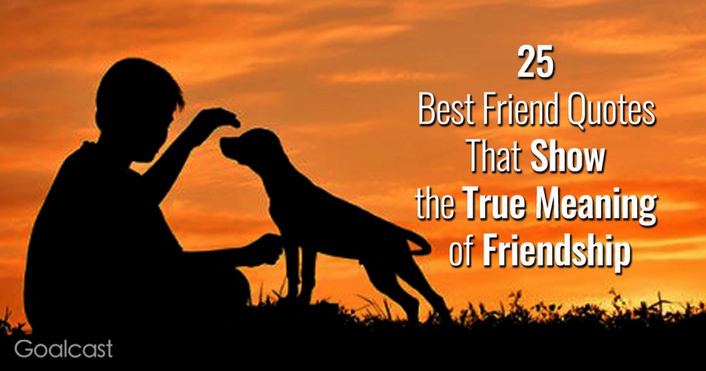 100 True Friendship Quotes Only Best Friends Will Understand  True friendship  quotes, Short friendship quotes, Best friend quotes meaningful